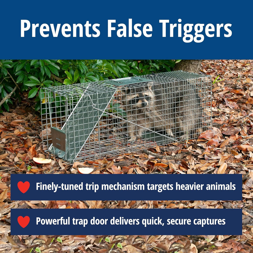 Havahart Large 1-Door Live Animal Trap For Raccoons, Cats, Bobcats, Beavers | Heavy Duty Humane Catch And Release Cage Trap For Outdoor Pest Control, 1079Sr