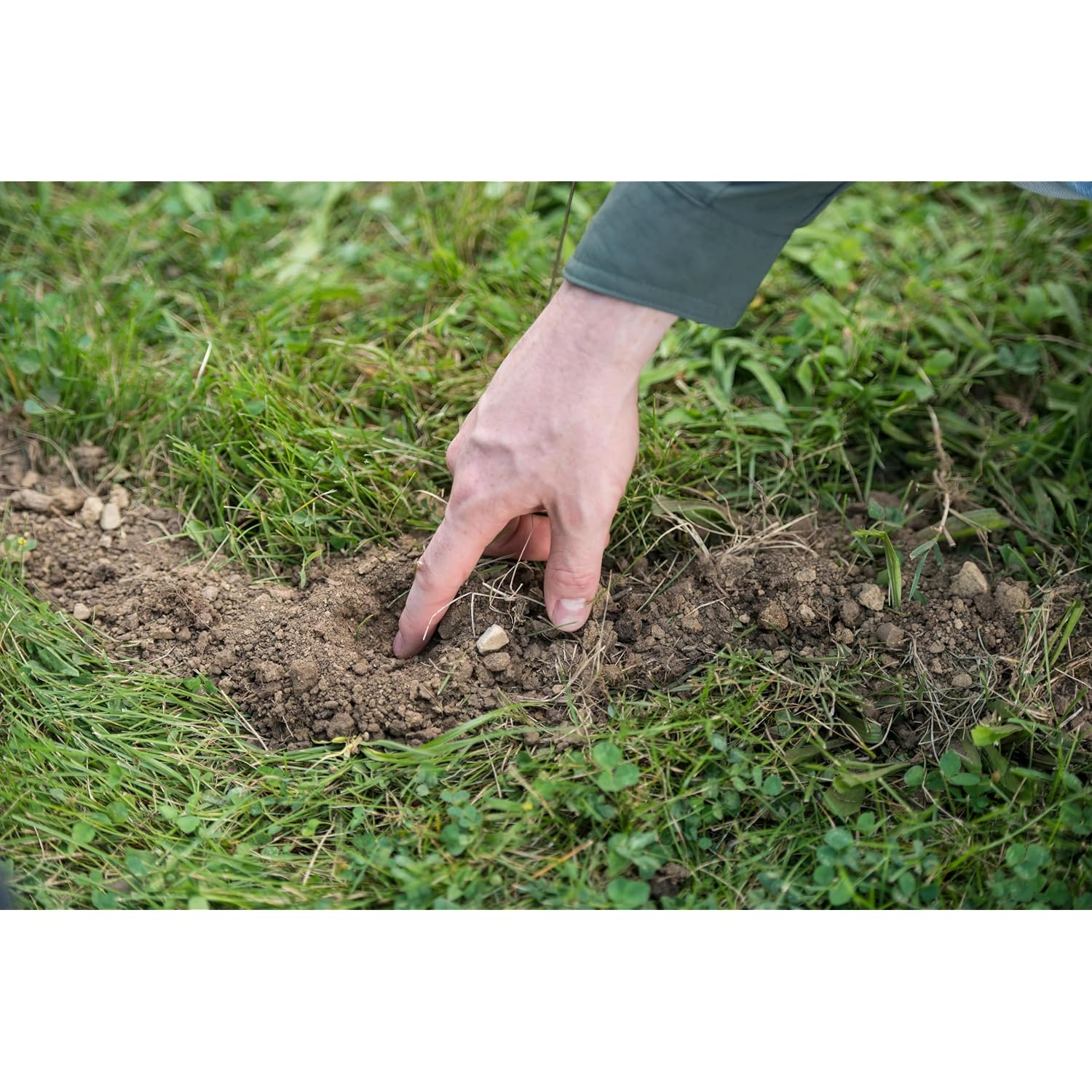 Tomcat Mole Killer(A), 12 Worm Baits | Mimics Natural Food Source, Kills With A Single Feeding, Mole Killer For Lawns And Yards