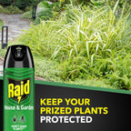 Raid House And Garden Insect Killer Spray, For Indoor And Outdoor Use, Won'T Harm Plants, Insect Spray, Orange Breeze Scent, 11 Oz