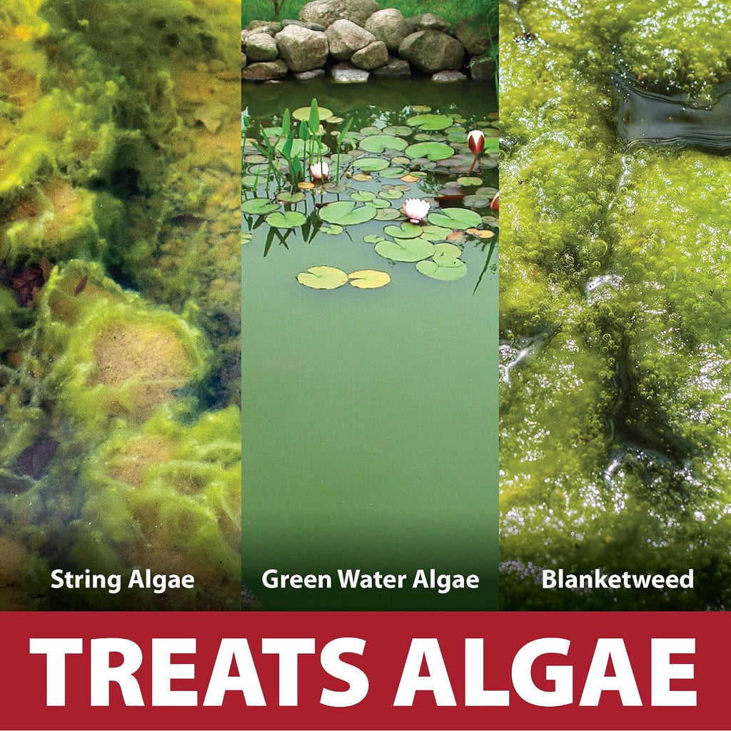 The Pond Guy Instafix Algae Control Liquid Algaecide, 16 Ounce | Epa Registered Algae Solution For Outdoor Water Gardens, Fountains & Birdbaths; Controls Green Water & String Algae