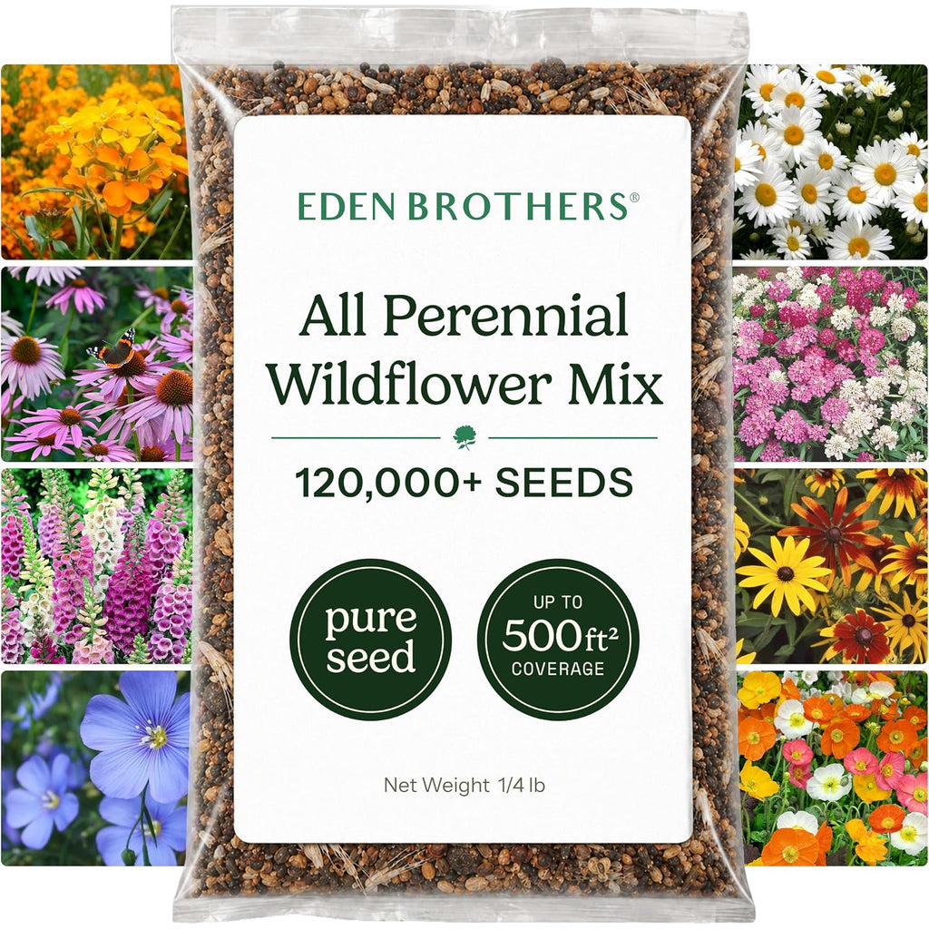 Eden Brothers All Perennial Wildflower Seed Mix For Planting, 1/4 Lb, 120,000+ Seeds Throw And Grow 19 Flower Varieties, Non-Gmo Covers To 1,000 Sq Ft, Attracts Pollinators, Spring Or Fall, Zones 3-10