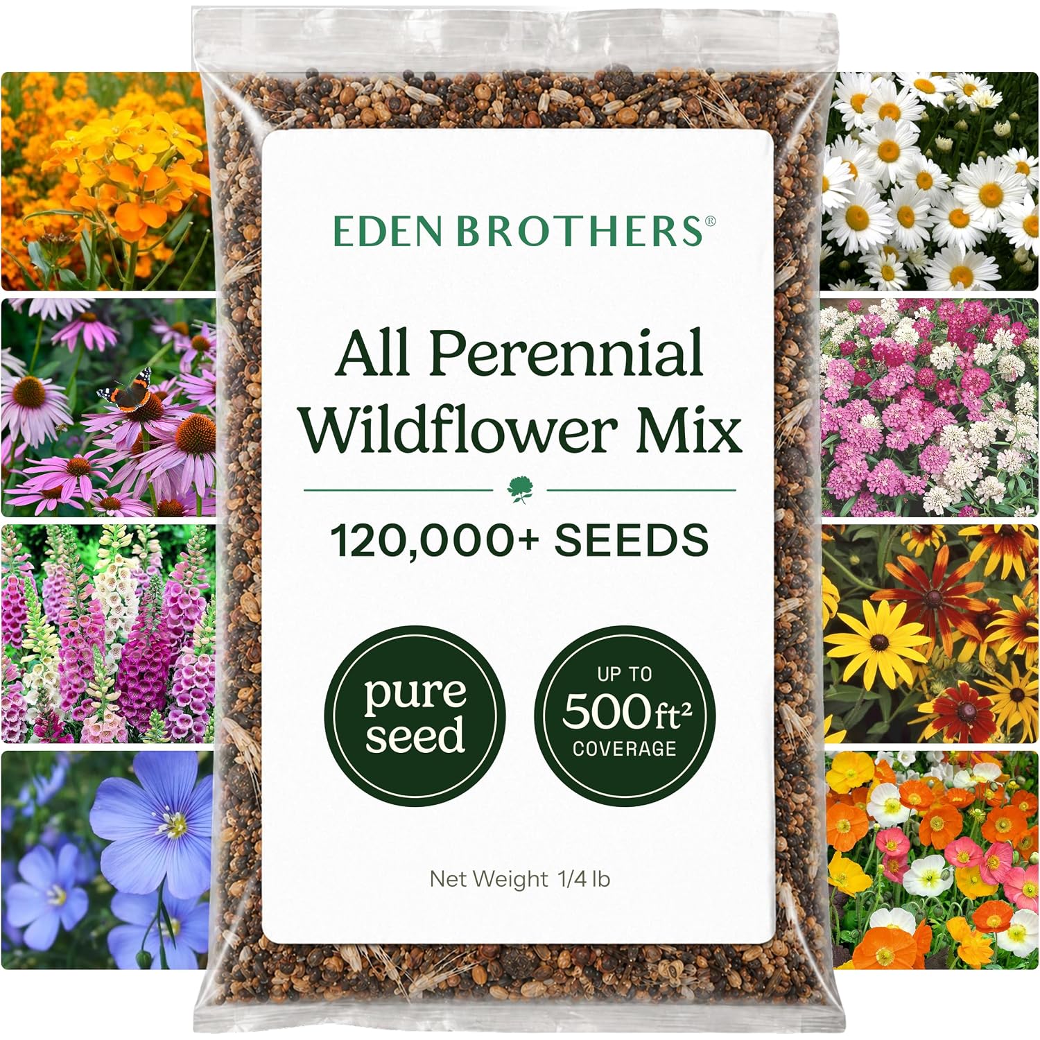 Eden Brothers All Perennial Wildflower Seed Mix For Planting, 1/4 Lb, 120,000+ Seeds Throw And Grow 19 Flower Varieties, Non-Gmo Covers To 1,000 Sq Ft, Attracts Pollinators, Spring Or Fall, Zones 3-10