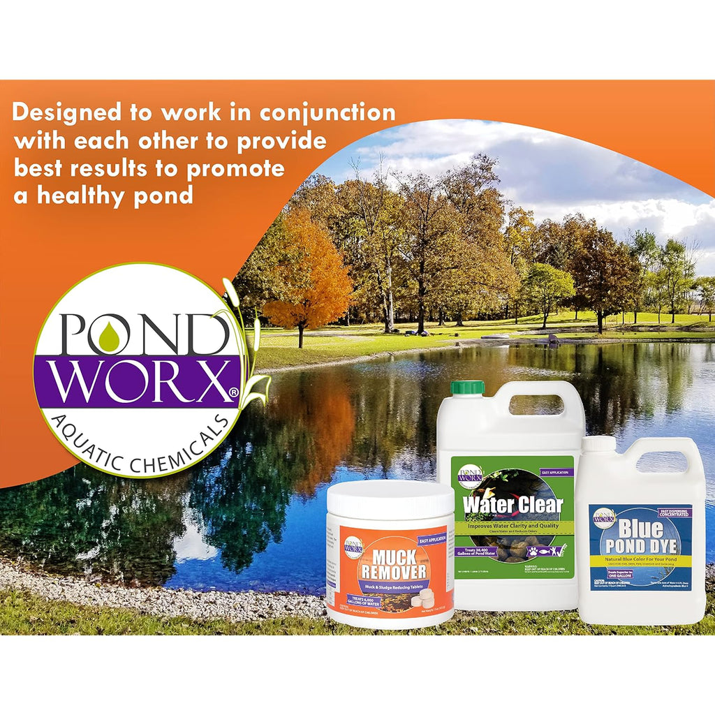 Pondworx Pond Bacteria - Formulated For Large Ponds, Water Features And Safe For Koi - Gallon