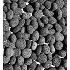Black Lava Rocks For Fire Pit - 1 To 2 Inch 20 Lbs - Gas Fireplace Rocks - Black Lava Rock For Propane Fire Pit - Decorative Lava Stone Volcanic Rock For Outdoor & Indoor Gas Fireplace
