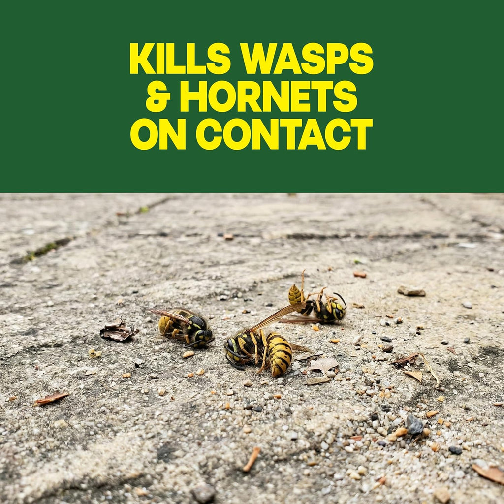Raid Wasp & Hornet Killer Spray, Kills The Entire Nest, For Paper Wasps, Yellow Jackets, Mud Daubers, And More, 17.5 Oz
