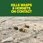 Raid Wasp & Hornet Killer Spray, Kills The Entire Nest, For Paper Wasps, Yellow Jackets, Mud Daubers, And More, 17.5 Oz