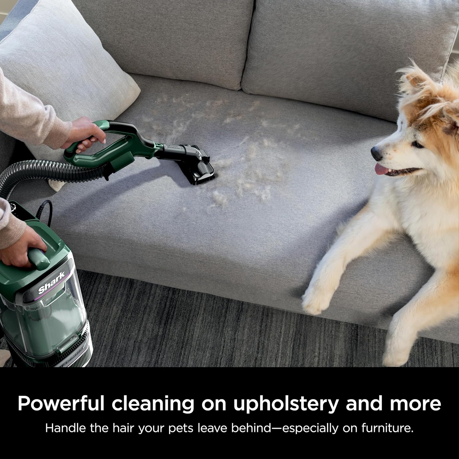 Shark Detect Pro Lift-Away Adv Bagless Upright Vacuum With Duoclean Detect, Hepa Filter, Anti-Allergen, Powerful Suction, And Odor Neutralizer Technology, Evergreen, La802