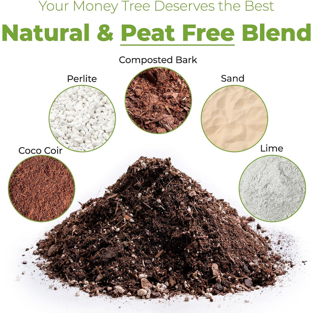 Perfect Plants Money Tree Potting Soil 4Qt | Organic Coco Coir Based Plant Mix For Indoor Trees | Quickly Grow Your Indoor Forest