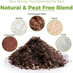 Perfect Plants Money Tree Potting Soil 4Qt | Organic Coco Coir Based Plant Mix For Indoor Trees | Quickly Grow Your Indoor Forest