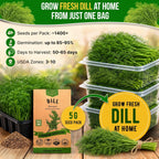Dill Bouquet Seeds Pack 5 G - Over 1,400 Non-Gmo Heirloom Dill Seeds For Planting Herbs In Individual Seed Packet, Herbs Seeds For Planting Home Garden Indoor & Outdoor Gardening