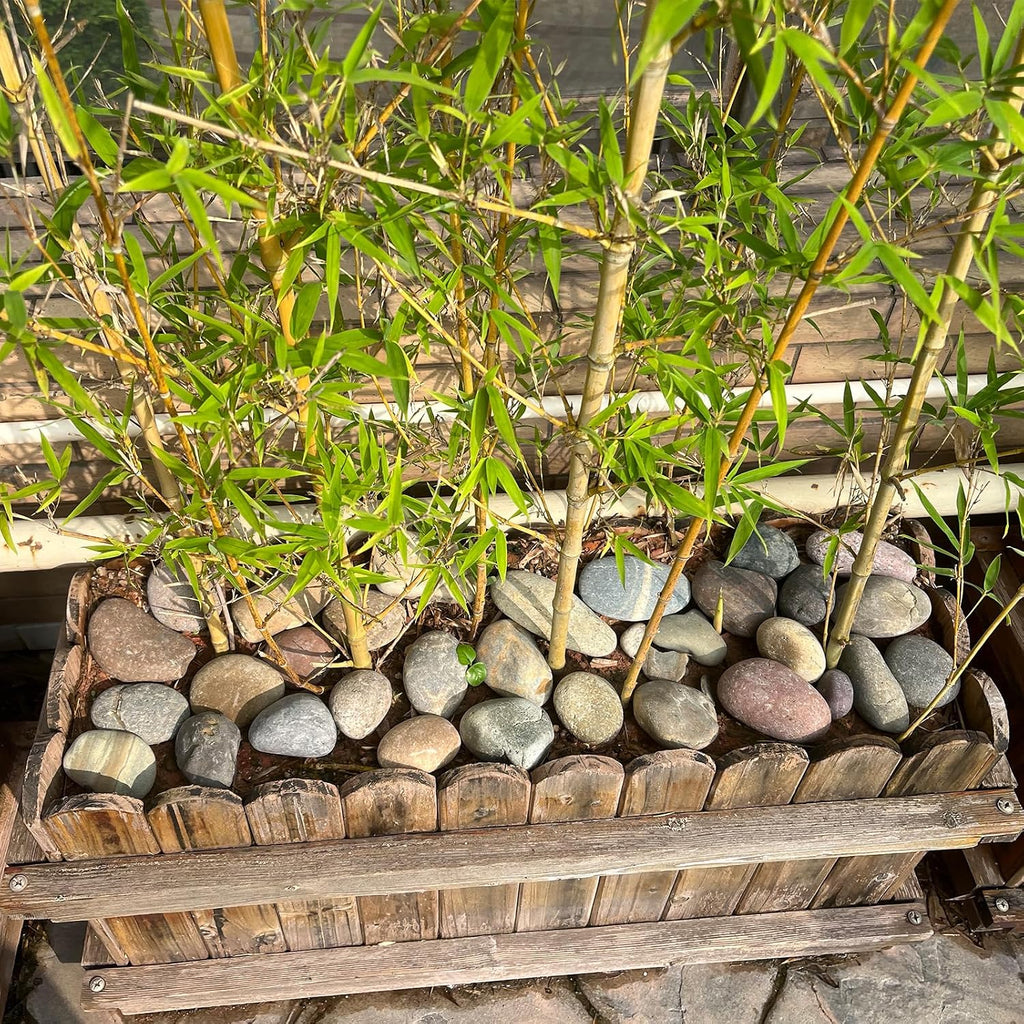 5 Lbs Natural Aquarium Rocks, 2-3 Inch Large Pebbles.Decorative River Rocks For Plants, Fish Tank, Garden, Paving, Fountain, Walkways And Outdoor Landscaping