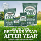 Pennington Kentucky 31 Fescue 3 Lb Tall Fescue Grass Seed, Grass Seeds For Lawn