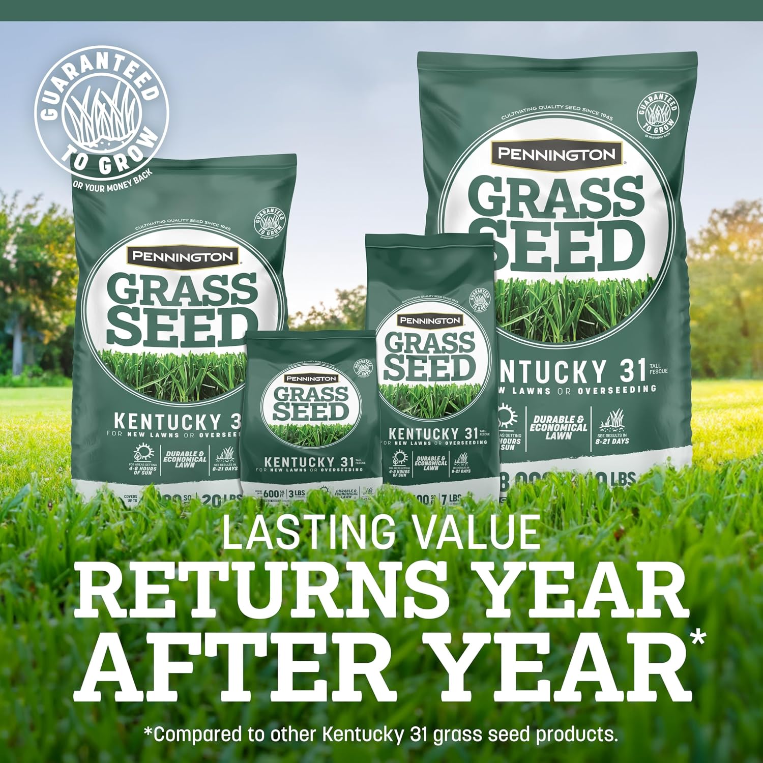 Pennington Kentucky 31 Fescue 3 Lb Tall Fescue Grass Seed, Grass Seeds For Lawn