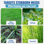 Sedgehammer Plus Turf Herbicide -Purple & Yellow Nutsedge Killer For Lawns With Pre-Mixed Surfactant - Lawn & Pet Safe Weed Killer Mix For Residential Use (2)