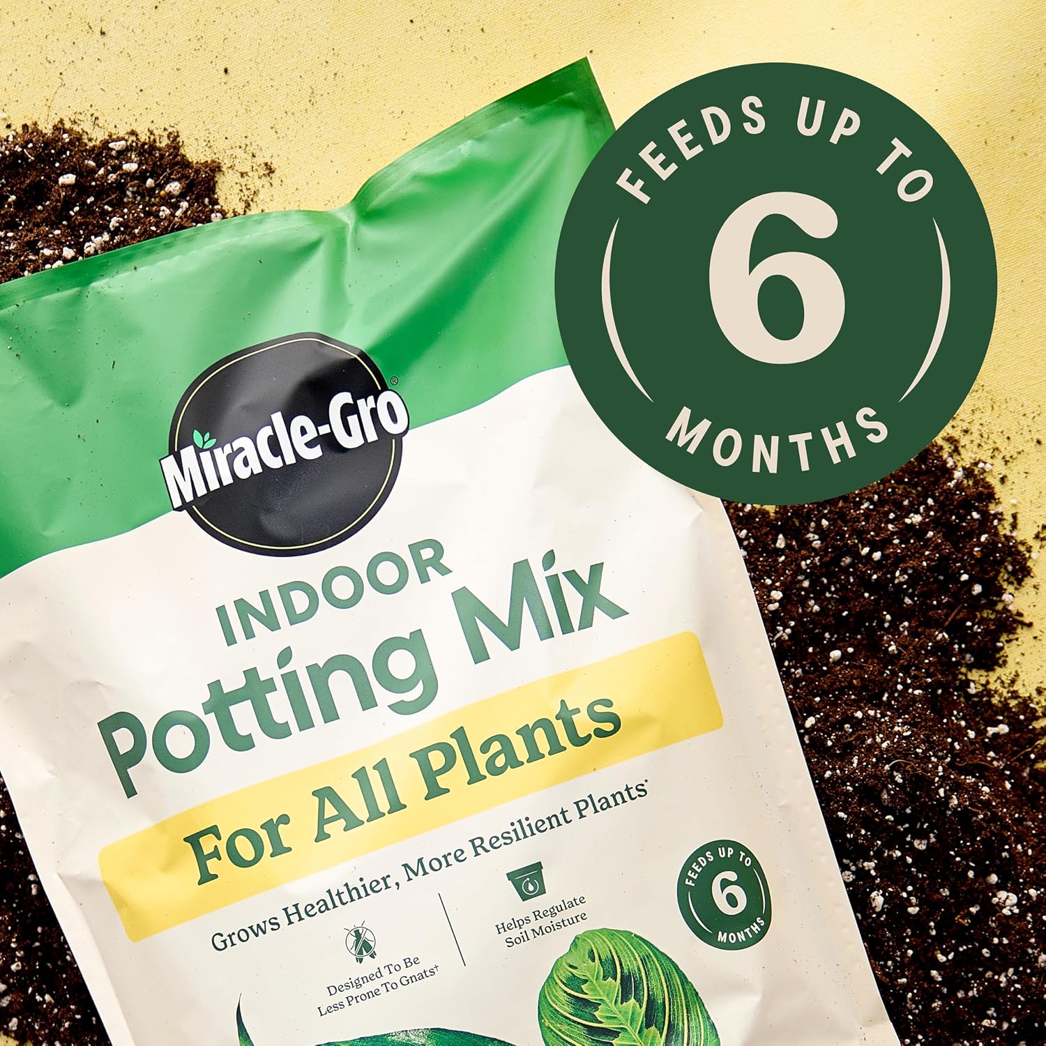 Miracle-Gro Indoor Potting Mix For All Plants, 6 Qt., 2-Pack | Use With Houseplants And More, Feeds For Up To 6 Months
