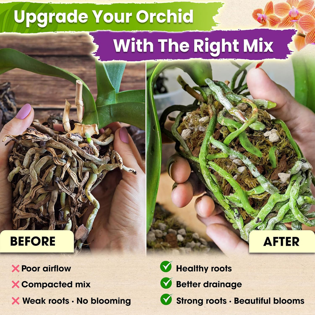 4In1 Orchid Potting Mix For Repotting, Pre-Mixed & Ready To Use, 1Qt | Forest Moss, Pine Bark, Perlite & Pumice, Professional Blend, Drainage & Airflow, Upgraded Formula