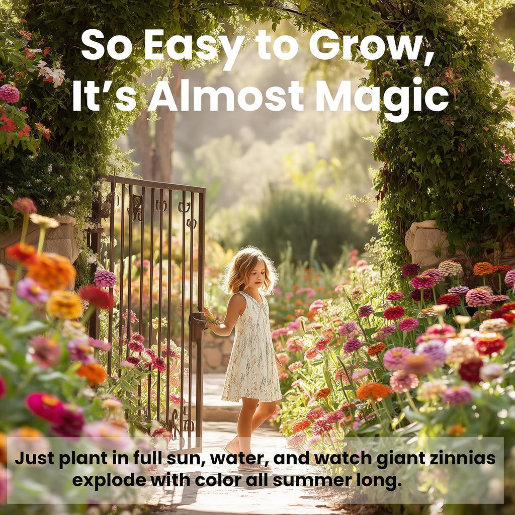 Naturez Edge Zinnia Seeds For 2026 Planting Outdoors, Over 4000 Flower Seeds, 1 Oz, Non Gmo Made In Usa, Bulk Semillas De Flores Para Sembrar, California Giants, Easy To Grow Zinnia Seed Mix