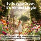 Naturez Edge Zinnia Seeds For 2026 Planting Outdoors, Over 4000 Flower Seeds, 1 Oz, Non Gmo Made In Usa, Bulk Semillas De Flores Para Sembrar, California Giants, Easy To Grow Zinnia Seed Mix