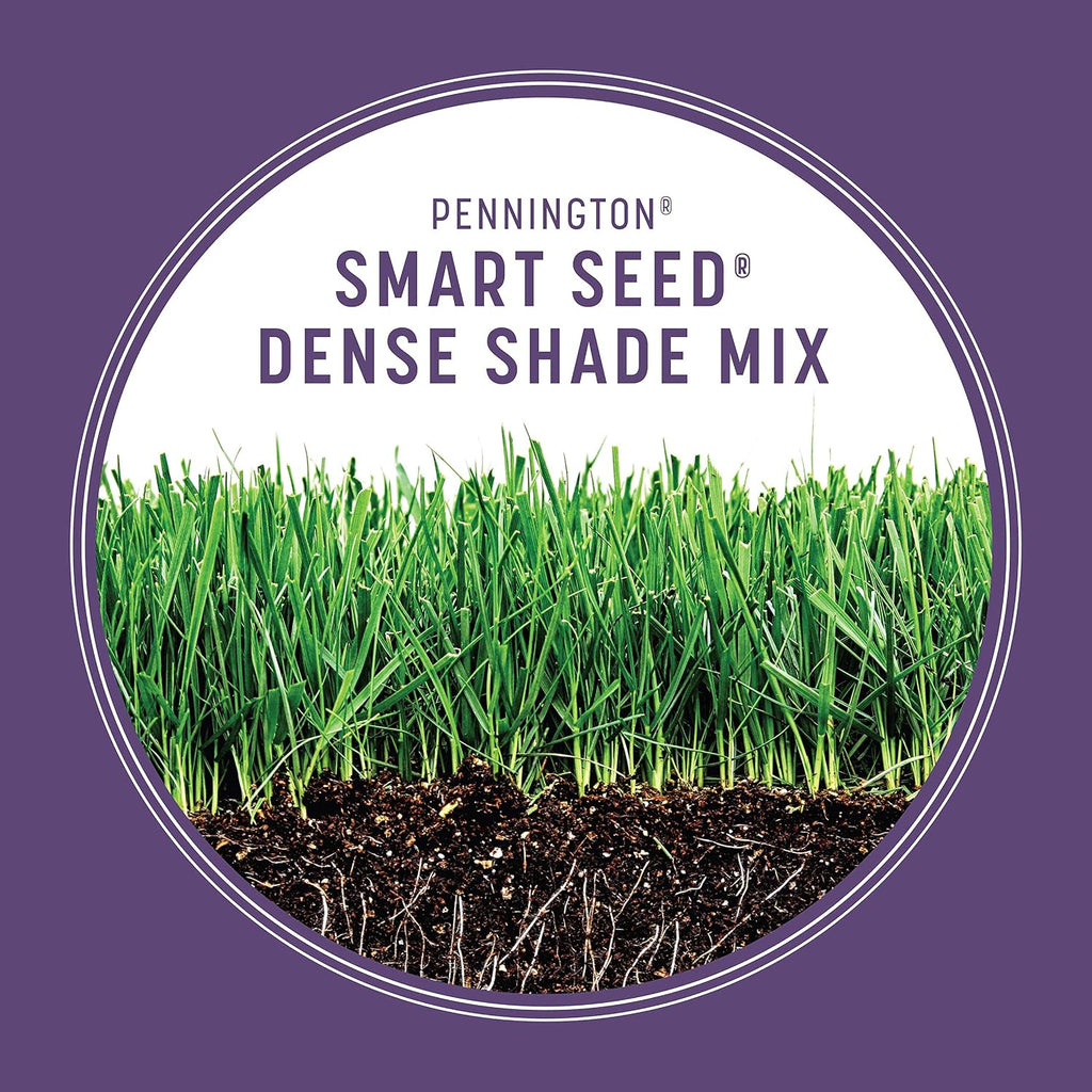 Pennington Smart Seed Dense Shade Mix, Grass Seeds For Lawn, 4/7 Lb