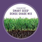 Pennington Smart Seed Dense Shade Grass Mix 3 Lb
