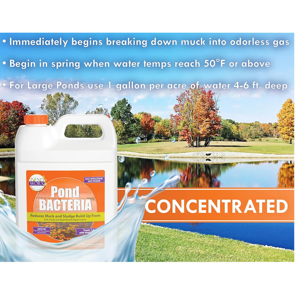 Pondworx Pond Bacteria - Formulated For Large Ponds, Water Features And Safe For Koi - Gallon