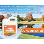 Pondworx Pond Bacteria - Formulated For Large Ponds, Water Features And Safe For Koi - Gallon