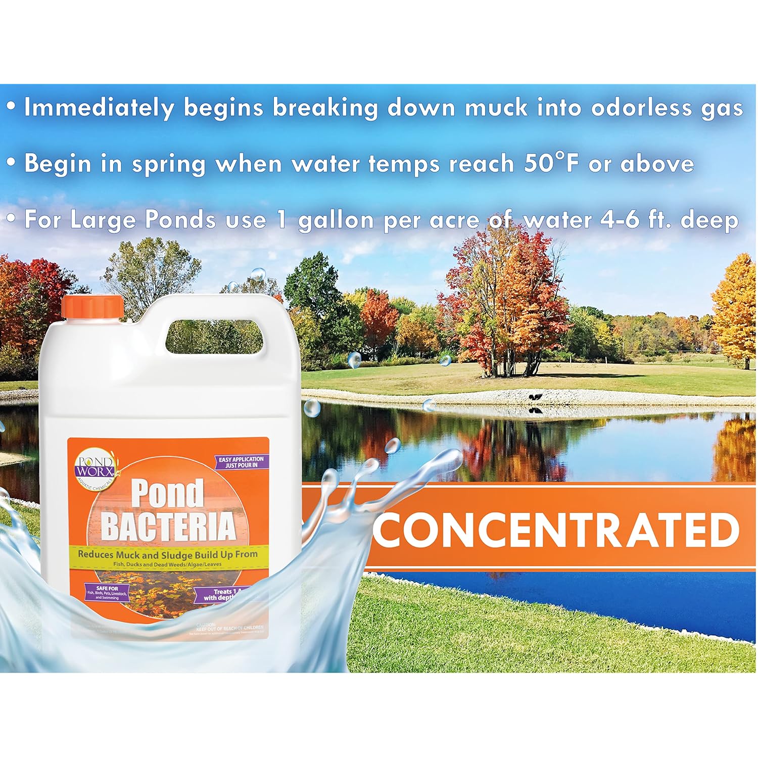 Pondworx Pond Bacteria - Formulated For Large Ponds, Water Features And Safe For Koi - Gallon