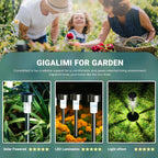 Gigalumi 16 Pack Solar Lights Outdoor Waterproof,Stainless Steel Led Solar Garden Lights For Patio, Lawn, Yard And Landscape(Cold White) | Solar Pathway Lights, Solar Garden Lights For Patio, Lawn, Yard And Landscape Led (Cold White)