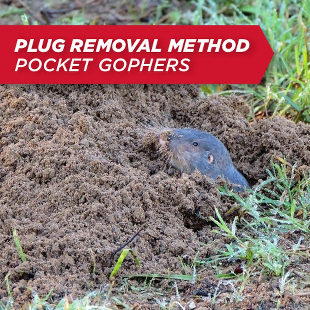 Amdro Mole & Gopher Bait 1 Lb, 100510486, Black Label
