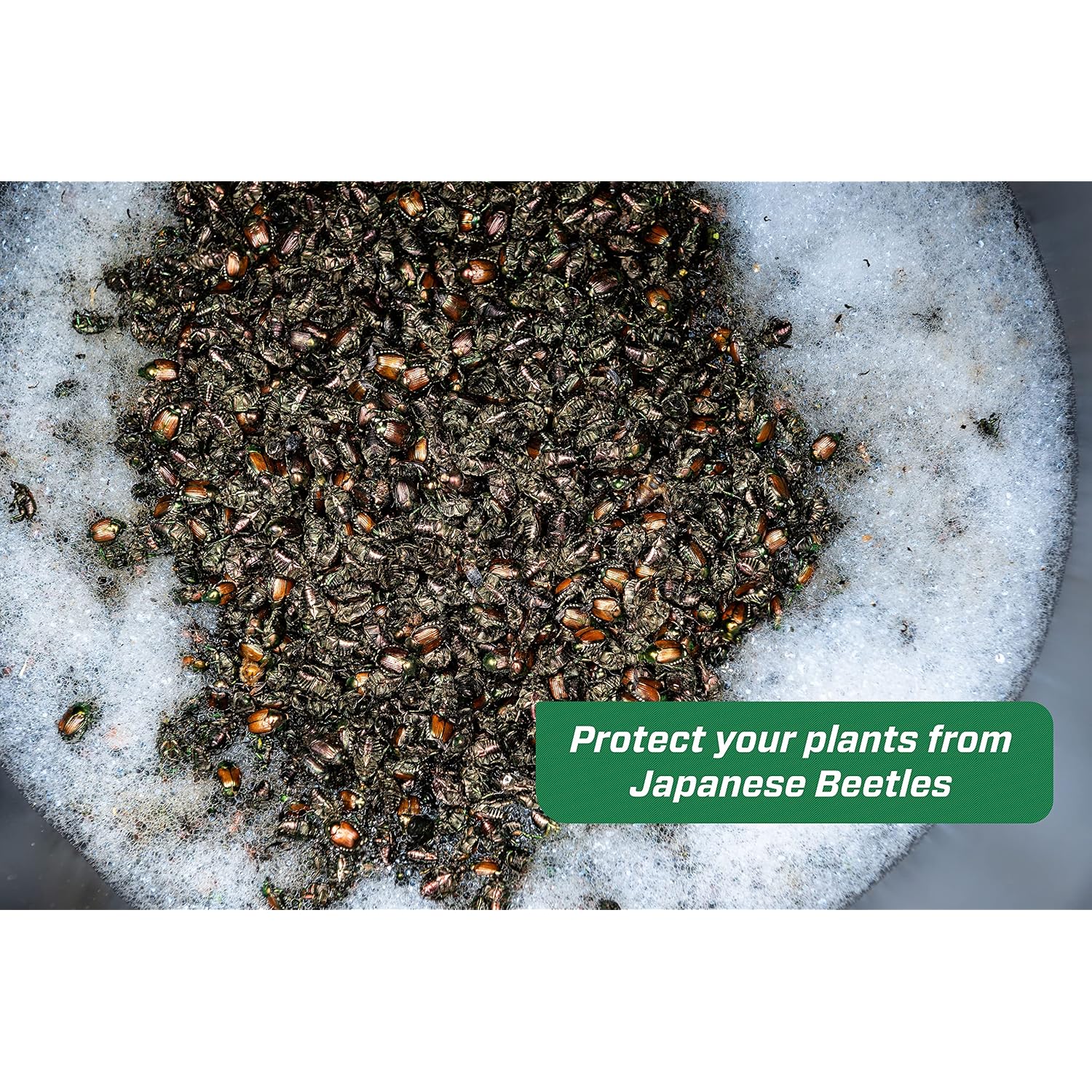 Rescue! Japanese Beetle Trap – Reusable Bag - 3 Traps