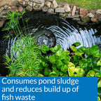 Api Pond-Zyme Sludge Destroyer Pond Cleaner With Natural Pond Bacteria And Barley, 1-Pound Container