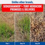 Sedgehammer Plus Turf Herbicide -Purple & Yellow Nutsedge Killer For Lawns With Pre-Mixed Surfactant - Lawn & Pet Safe Weed Killer Mix For Residential Use (2)