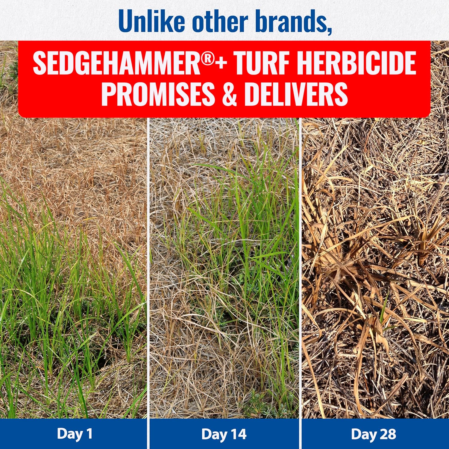 Sedgehammer Plus Turf Herbicide -Purple & Yellow Nutsedge Killer For Lawns With Pre-Mixed Surfactant - Lawn & Pet Safe Weed Killer Mix For Residential Use (2)