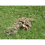 Tomcat Mole Killer(A), 12 Worm Baits | Mimics Natural Food Source, Kills With A Single Feeding, Mole Killer For Lawns And Yards