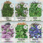 Seed Needs Herb Seeds Variety Pack Culinary Herb Collection (12 Individual Packets For Planting Indoors Or Outdoors) Grow Your Own Herb Garden - Heirloom, Non-Gmo