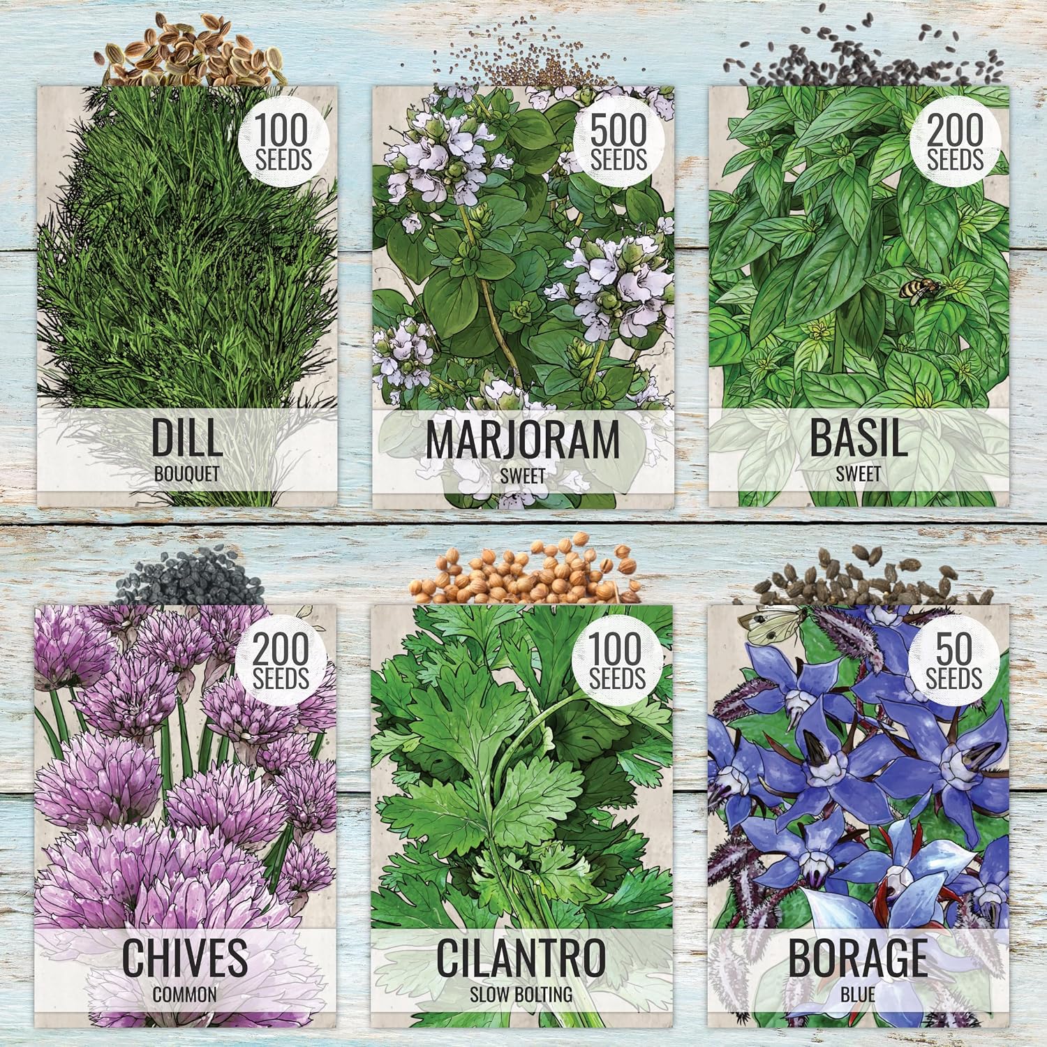Seed Needs Herb Seeds Variety Pack Culinary Herb Collection (12 Individual Packets For Planting Indoors Or Outdoors) Grow Your Own Herb Garden - Heirloom, Non-Gmo