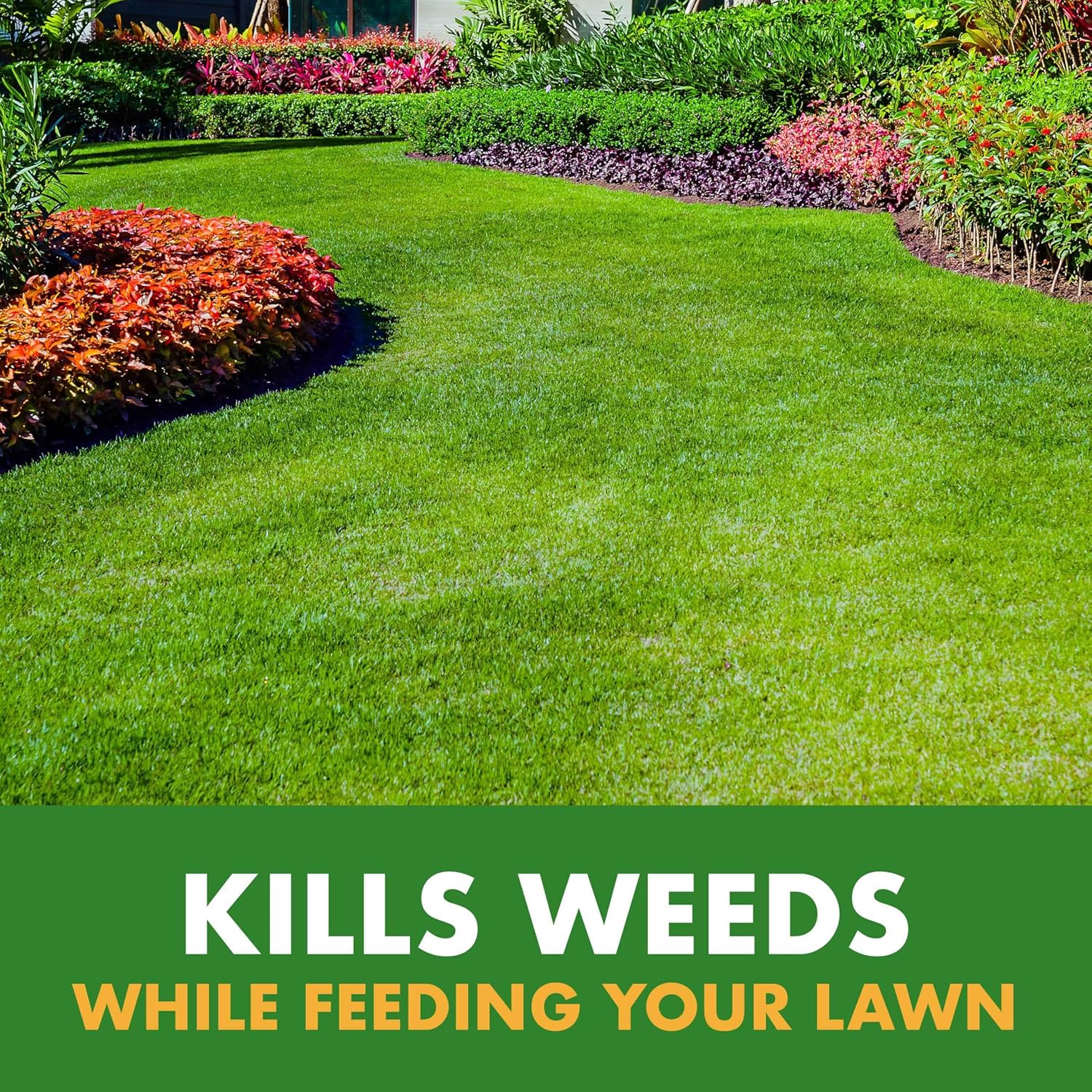 Spectracide Weed & Feed 20-0-0, 3 Count, Easy To Use Quickflip Sprayer, Kills Weeds While Feeding Your Lawn, Kills Major Broadleaf Weeds Like Dandelion, Chickweed, Clover And Plantain