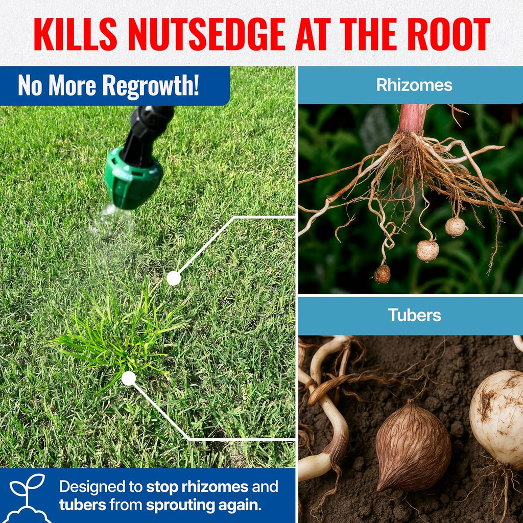 Sedgehammer 51516 Nutsedge Killer & Herbicide - Kills Yellow Nutsedge, Purple Nutsedge & Green Kyllinga, Selective Weed Killer For Lawns, Gardens & Landscapes