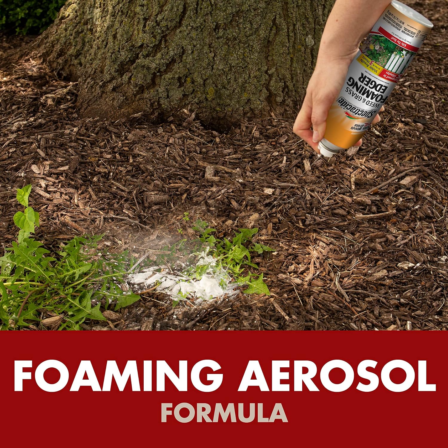 Spectracide Weed & Grass Foaming Edger (17 Oz), 1 Count