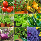 The Old Farmer'S Almanac Tomato & Vegetable Plant Food Mini Spikes - Npk 6-4-6 For Continuous Feeding And Bountiful Harvests (24 Mini Spikes)