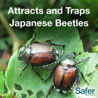Safer Brand Japanese Beetle Trap With Attractant - 70102 - Includes 1 Trap, 1 Lure, And 2 Jumbo Bags - Japanese Beetle Traps Outdoor
