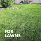 Spectracide Immunox Fungus Plus Insect Control For Lawns 32 Ounces, Dual Action, Hose-End Concentrate, Clear/Light Yellow
