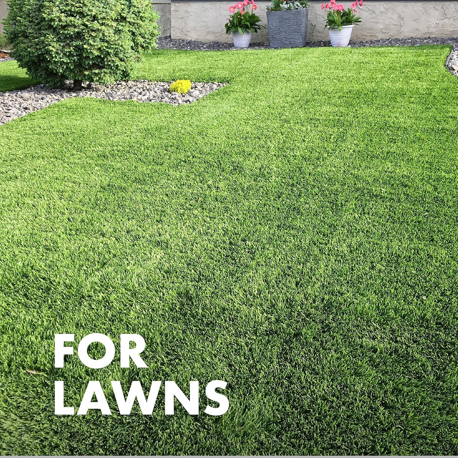 Spectracide Immunox Fungus Plus Insect Control For Lawns 32 Ounces, Dual Action, Hose-End Concentrate, Clear/Light Yellow
