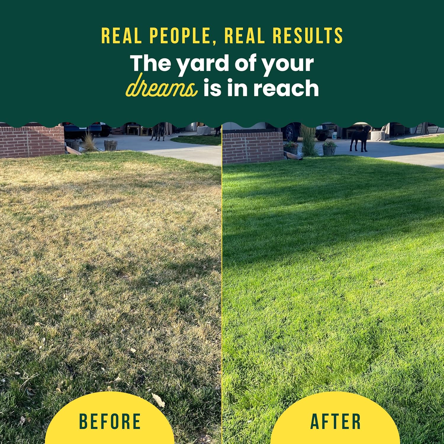 Sunday Green Machine Fertilizer, 42.3Oz, 2 Pack - Liquid Lawn Fertilizer For Lush Growth - Includes Universal Sprayer Attachment - Covers Up To 10,000 Sq Ft - Easy Application In 15 Minutes Or Less