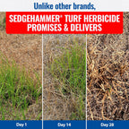 Sedgehammer 51516 Nutsedge Killer & Herbicide - Kills Yellow Nutsedge, Purple Nutsedge & Green Kyllinga, Selective Weed Killer For Lawns, Gardens & Landscapes