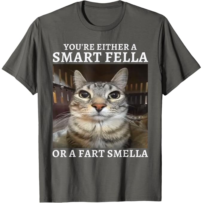 You're Either A Smart Fella Or A Fart Smella Funny Cat Meme | Funny T-Shirt