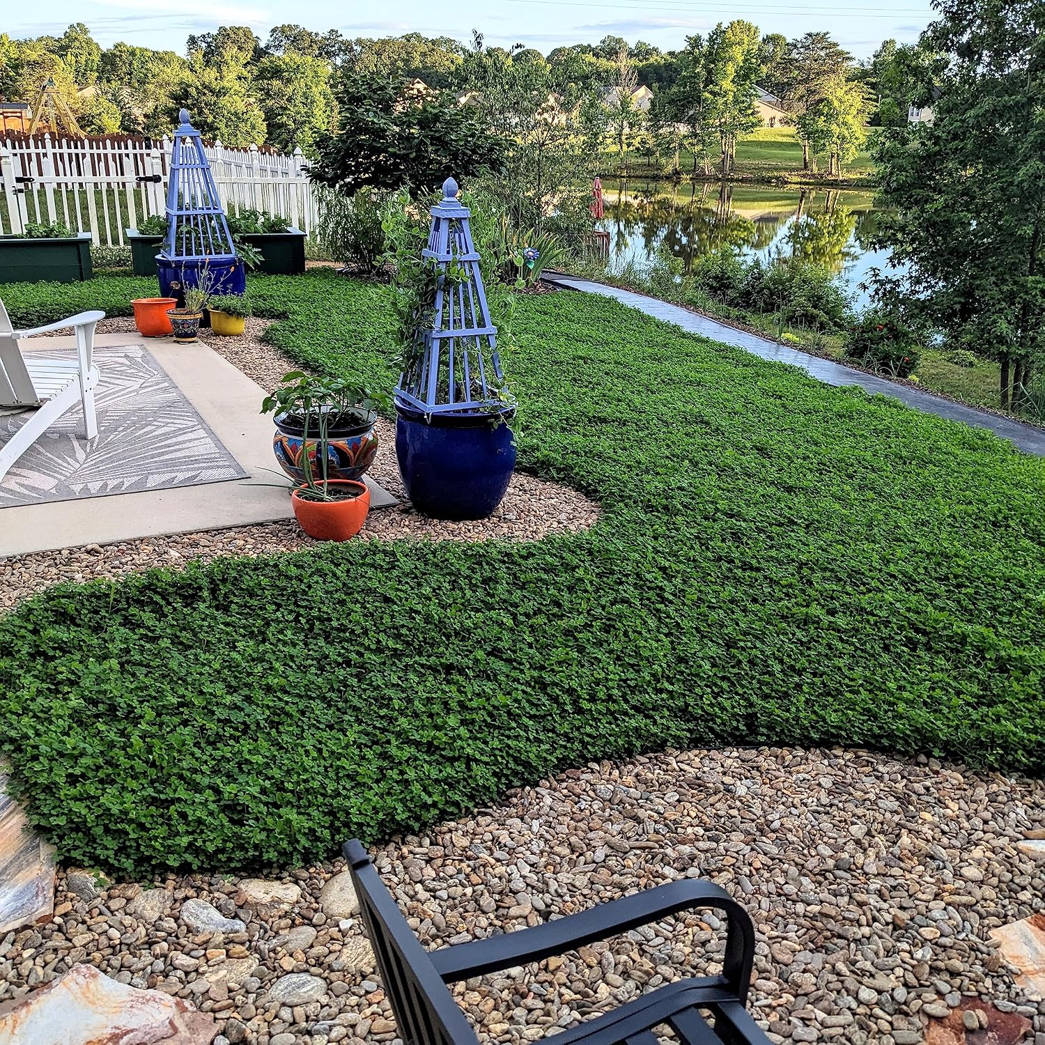 Outsidepride Perennial White Miniclover Seed - 1 Lb. Dwarf, Small-Leaved, Drought & Wear-Tolerant Micro Clover Seeds For Lawn, Ideal Low-Maintenance & Easy To Grow Ground Cover Seeds For Home Yard